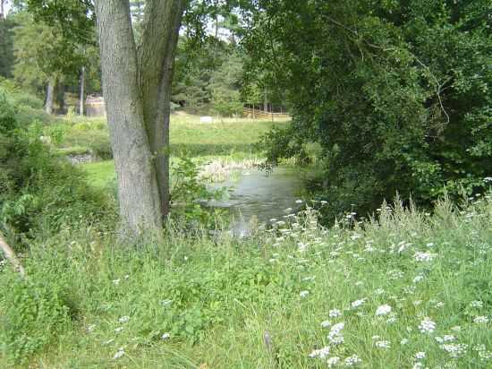 M&uuml;hlenteich